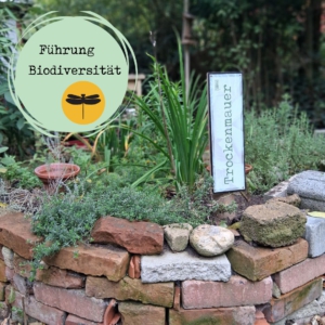 Führung Biodiversität, Trockenmauer